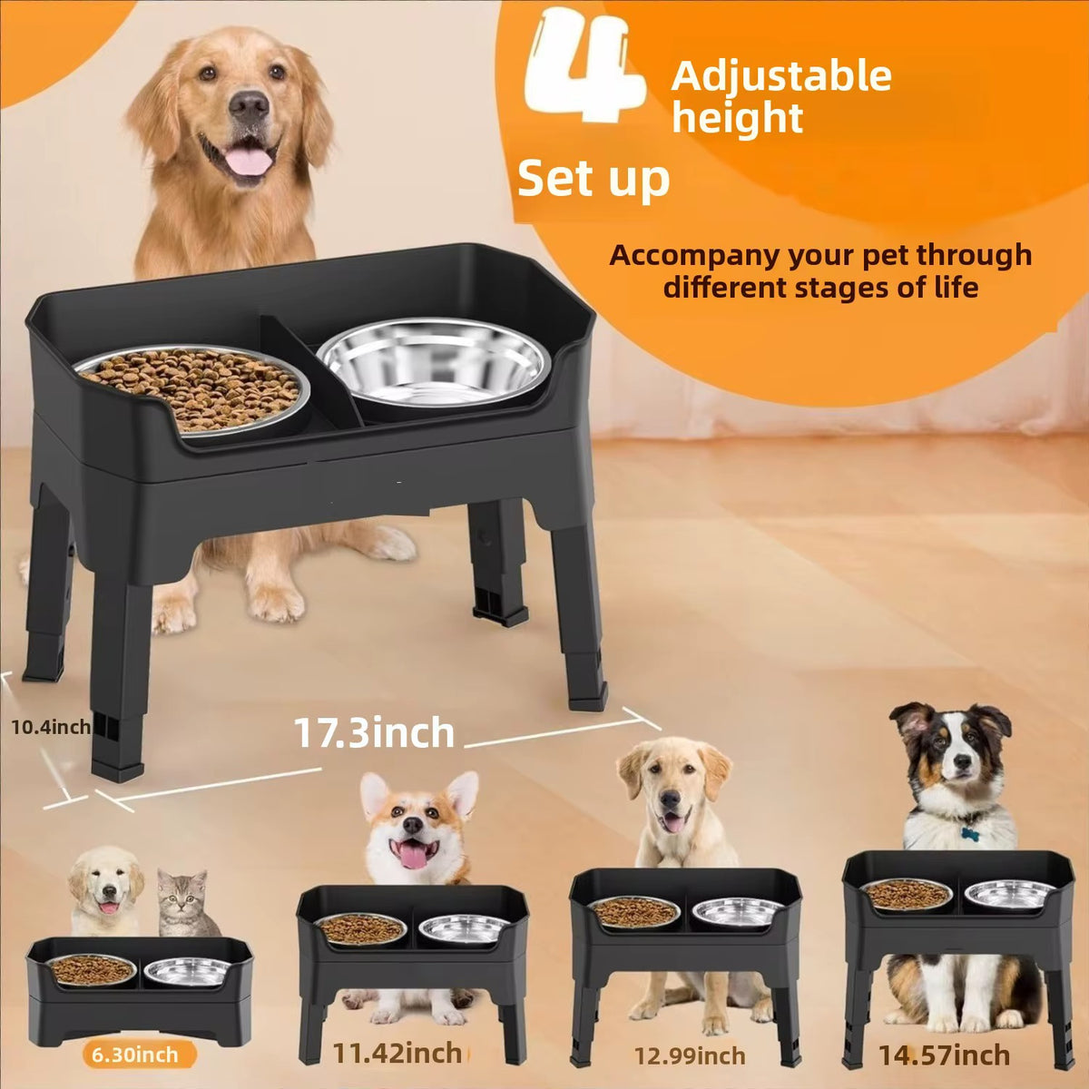 3-in-1 Elevated Dog Feeder